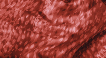 Blur of red fabric with a delicate, textured appearance and flowing abstract pattern. The interplay of soft lighting and shadows enhances the material's luxurious and inviting feel.の写真素材