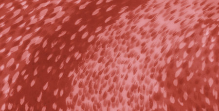 Blur of a folded red textile featuring unique abstract patterns, creating a captivating visual effect with smooth curves and intricate texture details for artistic uses.の写真素材