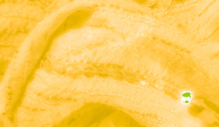 Blur of gently draped yellow fabric with faint textured lines and sequin details, producing a light and airy textile suitable for backgrounds and decorative themes.の写真素材