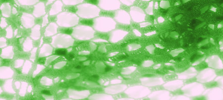 Blur effect on a delicate green lace fabric with hexagonal openings, showing its intricate and airy...
