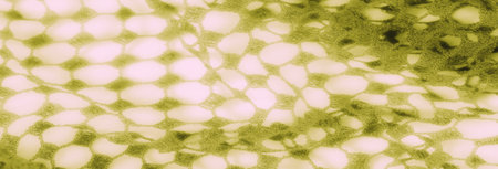 Blur - Green lace fabric in close-up, with an intricate openwork design and a fine mesh texture. The...
