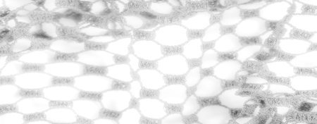 Blur, intricate lace mesh with an organic pattern, showing soft, airy textures. The white lace...
