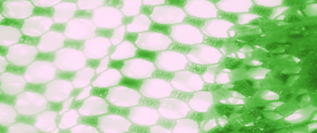 Blur of a close-up image showing intricate green net-like fabric with soft lighting. The pattern...