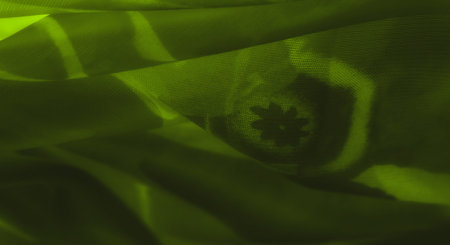Blurred soft green fabric with delicate flower shadows cast over its surface, enhanced by the folds...