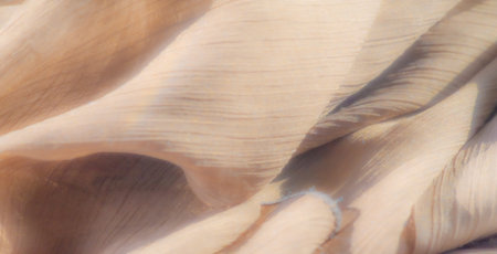 Blur - Smooth curves of golden-brown fabric create a beautiful interplay of light and shadow, highlighting the fabric's delicate sheen and intricate texture.の写真素材