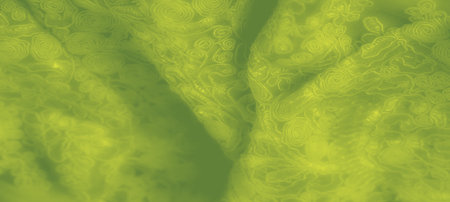 Blur of bright green fabric adorned with spiral and floral embroidery. The intricate stitching offers an abstract, botanical-inspired design, adding sophistication to the fabric's texture.の写真素材