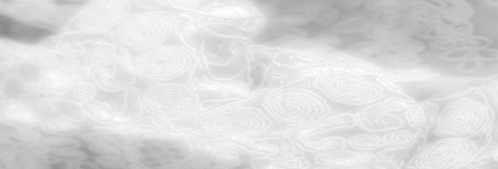 Blur. White lace fabric featuring swirling embroidery patterns with subtle mesh details. The raised design adds texture and elegance, perfect for sophisticated fashion and home decor.の写真素材