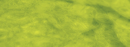 Blur intricate yellow-green fabric with swirling and looping embroidered textures, producing a dynamic and luxurious appearance. Soft and flowing, ideal for decorative designs.の写真素材