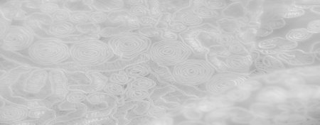 Blurred white lace fabric with fine floral and swirl patterns, highlighting the intricate detail and...