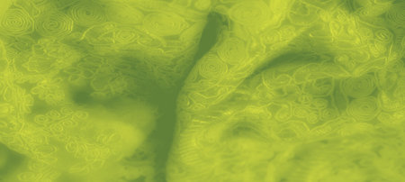 Blur effect on intricate green fabric with swirling, embroidered patterns, creating a vibrant...