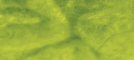 Blur. This vibrant green textile is adorned with detailed swirls and floral motifs, exuding elegance and style. The texture and organic design enhance its luxurious appeal,の写真素材