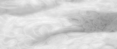 Blur reveals a close-up of intricate lacework in white fabric, capturing swirling patterns and floral accents with a soft, luxurious texture ideal for textile art and fashion inspirationsの写真素材