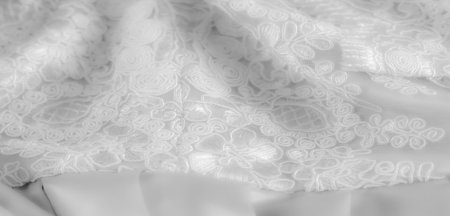Blurred detail of white lace fabric with a combination of swirling and floral designs, showcasing delicate embroidery with a soft, elegant finish perfect for textilesの写真素材