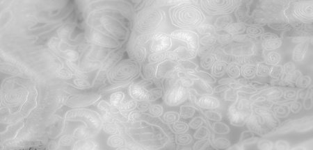Blur, detailed view of white lace fabric with floral and abstract embroidery, capturing a soft texture with refined stitching, great for use in fashion and textile design.の写真素材