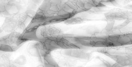 Blurred floral fabric with grayscale tones, featuring stirrup and chain elements. The intricate floral design is soft and refined, providing a sophisticated pattern for textiles.の写真素材