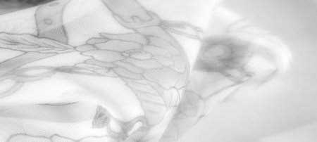 Blur. Soft grayscale floral fabric with intricate flower and leaf designs, creating a gentle and elegant look with a layered effect, ideal for fashion and interior applications.の写真素材