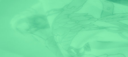 Blurred photo of green lace fabric featuring a floral design with delicate textures The fabric drapes softly creating a flowing pattern with intricate lacework that conveys elegance and sophisticationの写真素材