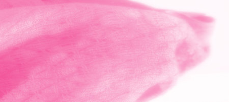Blur of pink fabric with soft folds and a gentle texture. The image captures a calm, romantic atmosphere with its pastel hue and airy, seamless flow, evoking warmth and tenderness.の写真素材