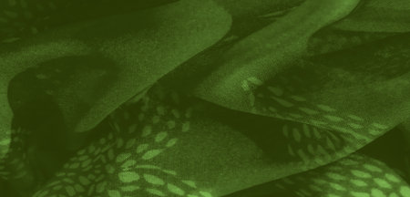 Blur of soft green fabric with intricate designs, gently folding and reflecting light. Subtle patterns emerge through layers, offering an ethereal quality, both soft and visually captivating.の写真素材