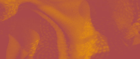 Blur of orange fabric with a circular, woven pattern. The flowing folds enhance the fabric's...