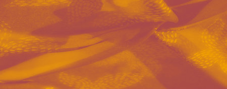 Blur, textured orange fabric with delicate patterns exudes warmth and sophistication. Light gently accentuates the soft folds, making it ideal for decor or fashion applicationsの写真素材