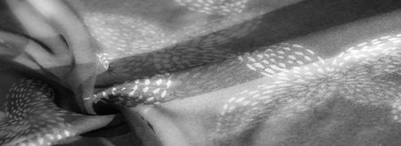Blurred grayscale fabric close-up with soft, flowing folds and delicate white patterns, creating a refined and sophisticated look. Shadows add depth and highlight the fabric's texture.の写真素材