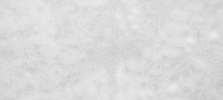 Blurred delicate white lace fabric with swirling patterns and floral motifs, displaying soft textures and fine embroidery details. The photo emphasizes elegance, making it ideal for fashionの写真素材