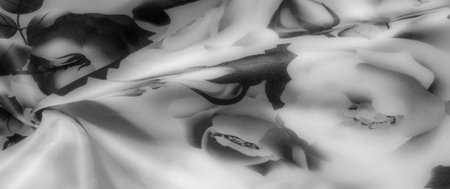 Blur: Detailed black-and-white floral pattern on fabric with a soft satin sheen, showcasing roses and leaves intertwined. Ideal for chic decor or high-end fashion applications.の写真素材