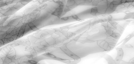 Blur, fabric with a grayscale floral design, featuring gentle tones and soft textures, showcases intricate rose and leaf details. The smooth, refined finish makes it a timeless textile choiceの写真素材