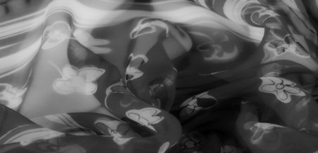 Blur. Grayscale fabric with floral patterns featuring soft folds and smooth texture. The overlay of flower designs adds elegance and visual interest.の写真素材