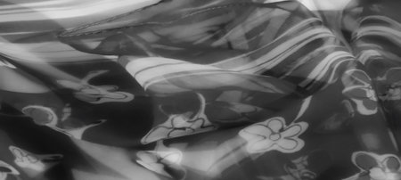 Blur. Close-up of monochromatic fabric with intricate floral details. The fabric flows with a soft...