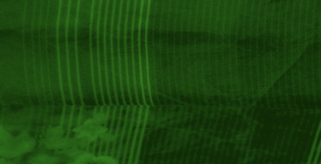 Blur. A sheer green fabric delicately designed with floral accents and striped details, showcasing a soft and lightweight texture for an elegant visual effectの写真素材