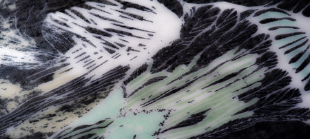 Blur, this flowing fabric features a soft interplay of black and pale white, capturing the essence of delicate patterns with a fine, airy texture.の写真素材