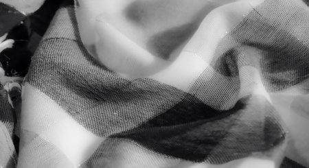 Blur captures the dynamic folds and delicate textures of a grayscale fabric, where light subtly...