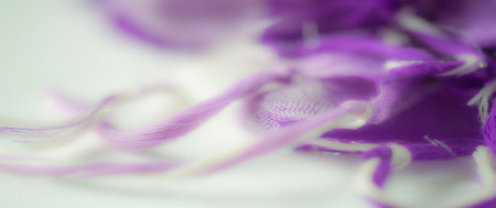 Blur of soft lavender and purple fabric with shimmering highlights, intricate loose threads, and vibrant folds creating an elegant and modern texture.の写真素材