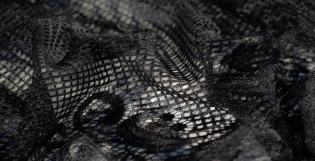 Blur of intricate black mesh fabric with a shimmering effect, featuring a grid-like pattern and...