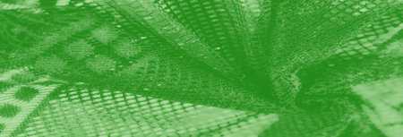 Blur of green fabric in a tightly folded pattern with glimmering mesh accents. The intricate weave...