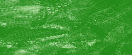 Blur: A detailed green lace pattern with elegant curves and reflective highlights, offering an...