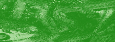 Blur: Elegant green textured fabric with glimmering reflections and mesh patterns, showcasing delicate craftsmanship and a soft interplay of light and material.の写真素材
