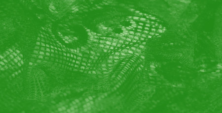 Blur: Elegant green textured fabric with glimmering reflections and mesh patterns, showcasing...