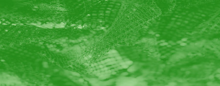 Blur of an elegant green mesh fabric with shimmering threads, showcasing a fine and intricate design perfect for decorative and textile projects.の写真素材