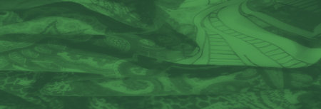 Blur this lush green fabric features a mesmerizing fusion of paisley and floral motifs, arranged in an elegant, swirling composition that feels organic and graceful.の写真素材