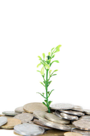 Green plant growing between coins from different countries of the world, isolated on white background.の写真素材