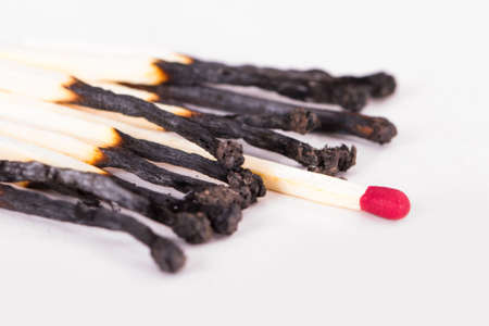 Leadership concept, red headed match standing out from burnt matches, isolated on white background.の写真素材