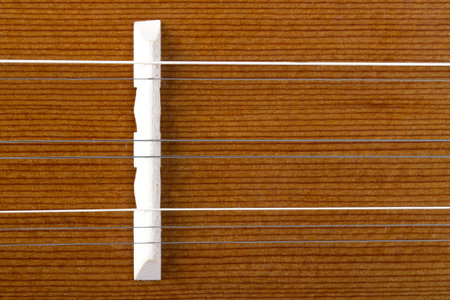 Wooden musical instrument with strings.