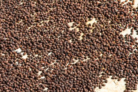 Dried olives under sun as background.