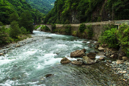 Mountain stream and bridge in forest.の写真素材