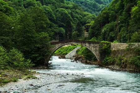 Mountain stream and bridge in forest.の写真素材