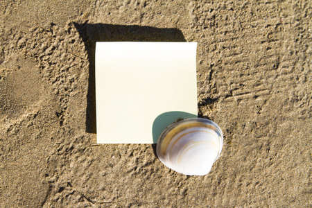 Sea shell with blank, yellow stick post on sandy beach.の写真素材