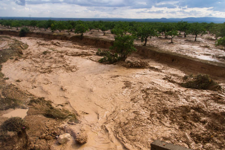 Flood on field with cloudy sky.の写真素材